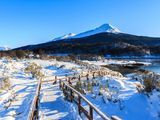 Cultivar en el Fin del Mundo: desafíos de la producción agrícola en Tierra del Fuego