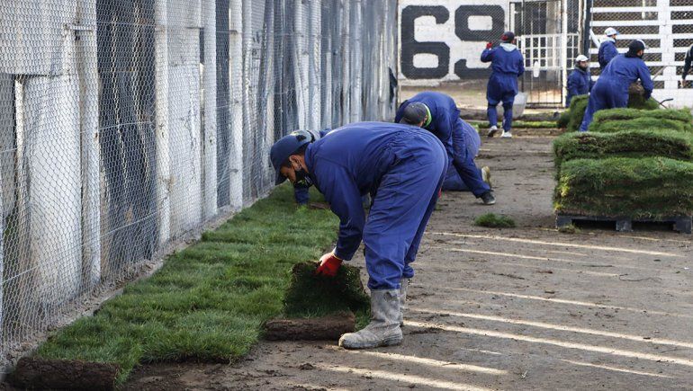 Cipo: el césped natural vuelve al campo de juego de La Visera