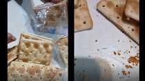vecina de alumine denuncio que encontro larvas en paquetes de galletitas
