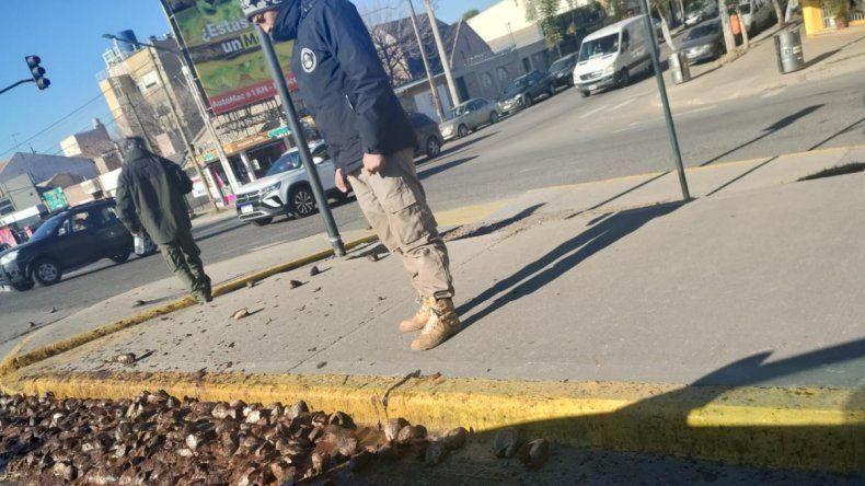 Fin de la novela: se develó el misterio de las cabezas de trucha que aparecieron en plena Avenida Mosconi