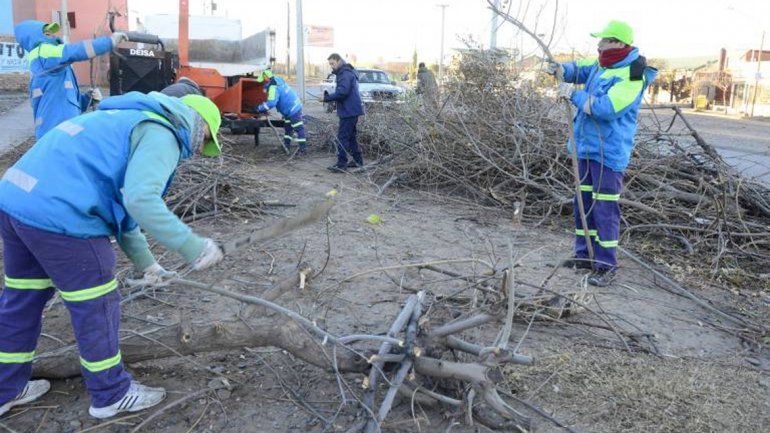 Obreros municipales juntando restos de podas con una chipeadora.