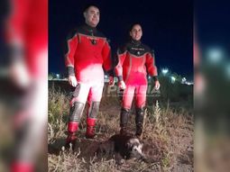 El operativo demandó varias horas de trabajo. El operativo demandó varias horas de trabajo.