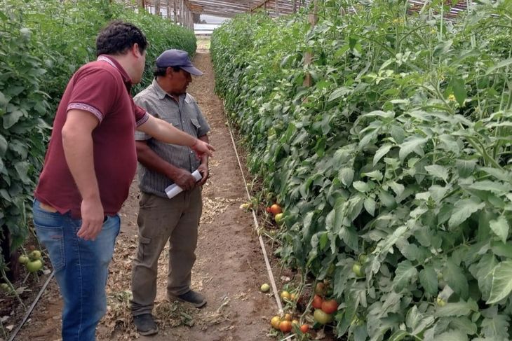 El ingeniero agrónomo Enrique "Quique" Muzi, del INTA, monitorea la explosión verde del Valle Inferior. El ingeniero agrónomo Enrique "Quique" Muzi, del INTA, monitorea la explosión verde del Valle Inferior.
