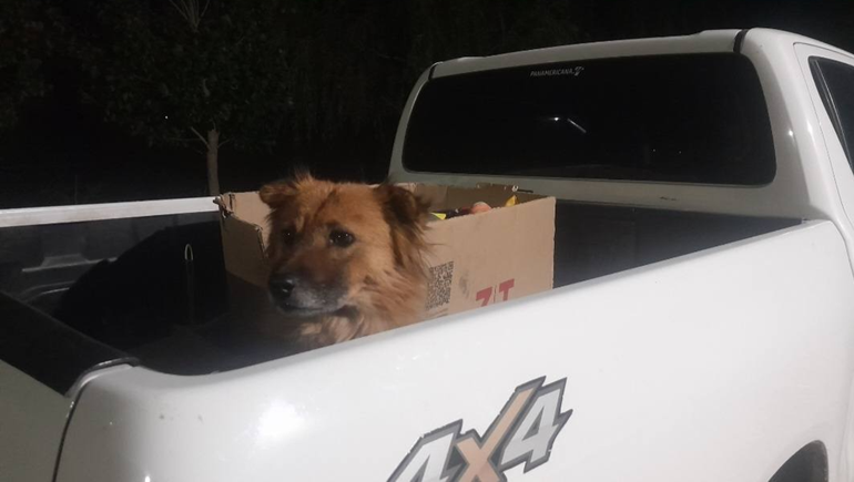 India se mudo con la familia