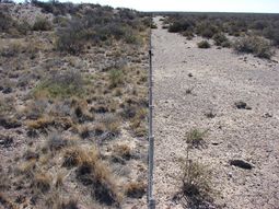 El manejo regenerativo ofrece respuestas al impacto de la ganaderia. Foto: gentileza El manejo regenerativo ofrece respuestas al impacto de la ganaderia. Foto: gentileza