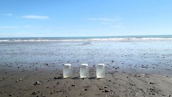 Muestras tomadas por científicos del CENPAT-CONICET, que llevaron adelante por primera vez una relevamiento amplio de la contaminación en el mar y las costas de una zona muy turística. Muestras tomadas por científicos del CENPAT-CONICET, que llevaron adelante por primera vez una relevamiento amplio de la contaminación en el mar y las costas de una zona muy turística.