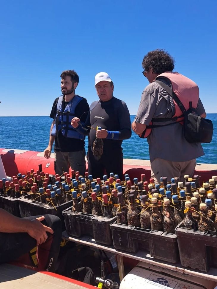Efecto submarino: Un a&ntilde;o bajo el mar equivale a tres a&ntilde;os de guarda en una cava tradicional.