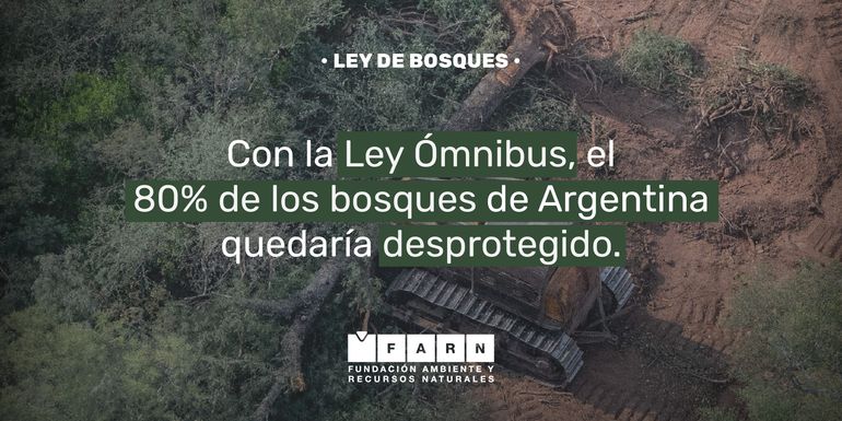 La Ley Bases podría afectar seriamente al medioambiente, sobre todo con el RIGI. La Ley Bases podría afectar seriamente al medioambiente, sobre todo con el RIGI.