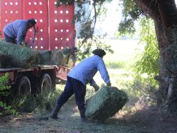 Durante 2024 se destinó solo el 0,03% del total de presupuesto de la Provincia a la produción agropecuaria. Durante 2024 se destinó solo el 0,03% del total de presupuesto de la Provincia a la produción agropecuaria.