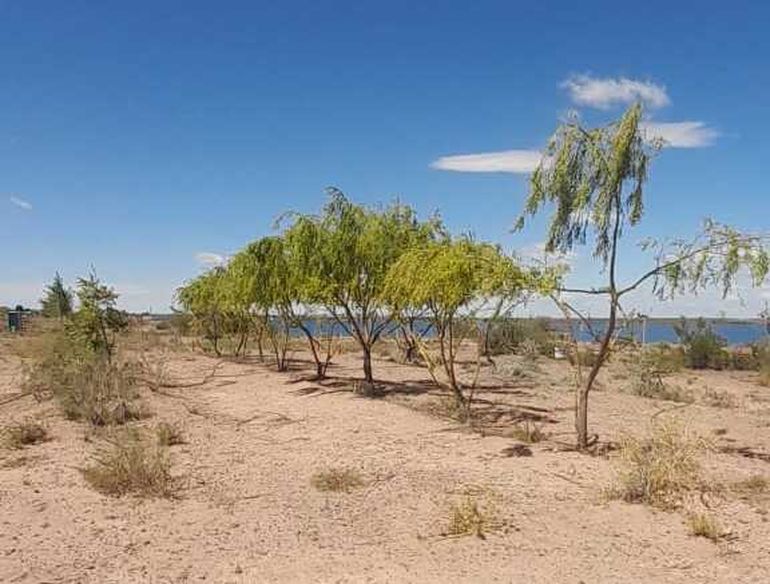 Camping Altapaco Mari Menuco Camping Altapaco Mari Menuco