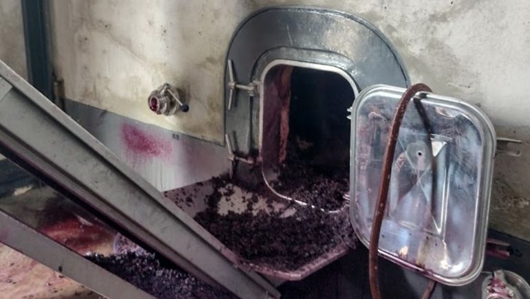 Final para la Vendimia 2022 en Argentina