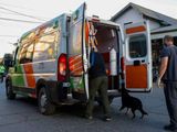 El perrito fiel se quiso subir a la ambulancia (foto Euge Neme reproducida por El Cordillerano).