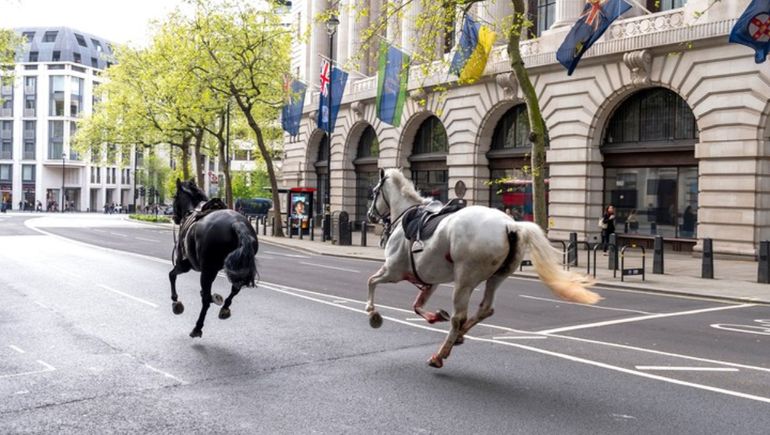 El insólito episodio en el centro de Londres