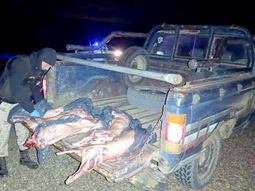 El reclamo crece en rutas y redes sociales por los decomisos de chivos y corderos faenados. El reclamo crece en rutas y redes sociales por los decomisos de chivos y corderos faenados.