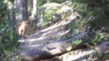 Villa La Angostura Villa La Angostura