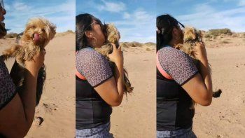 termino la agonia para leyla: el emotivo reencuentro con su perrita termino la agonia para leyla: el emotivo reencuentro con su perrita