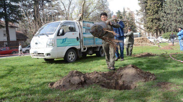 Operarios municipales
