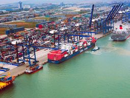 Confirmaron que se dio inicio al proceso de destrucción de los contenedores de cerezas en el puerto de Nansha (Foto). Confirmaron que se dio inicio al proceso de destrucción de los contenedores de cerezas en el puerto de Nansha (Foto).