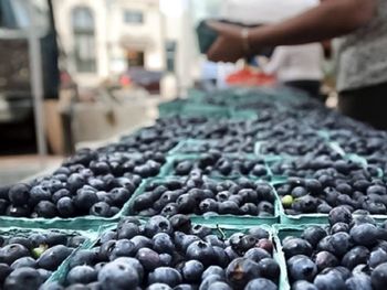 Perú, se mantiene como el principal exportador de arándanos frescos a nivel mundial.