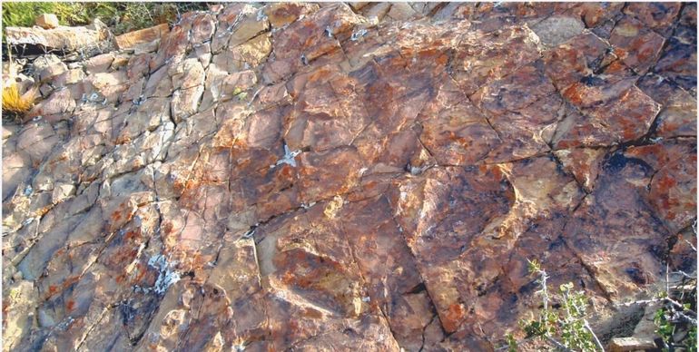 Los especialistas señalaron que una cobertura microbiana favoreció la preservación de las huellas fósiles de los saurópodos.