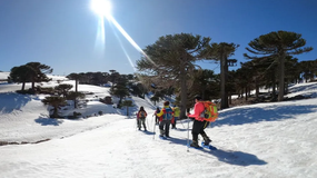 Primeros Pinos: un atractivo destino turístico que se renueva en cada invierno