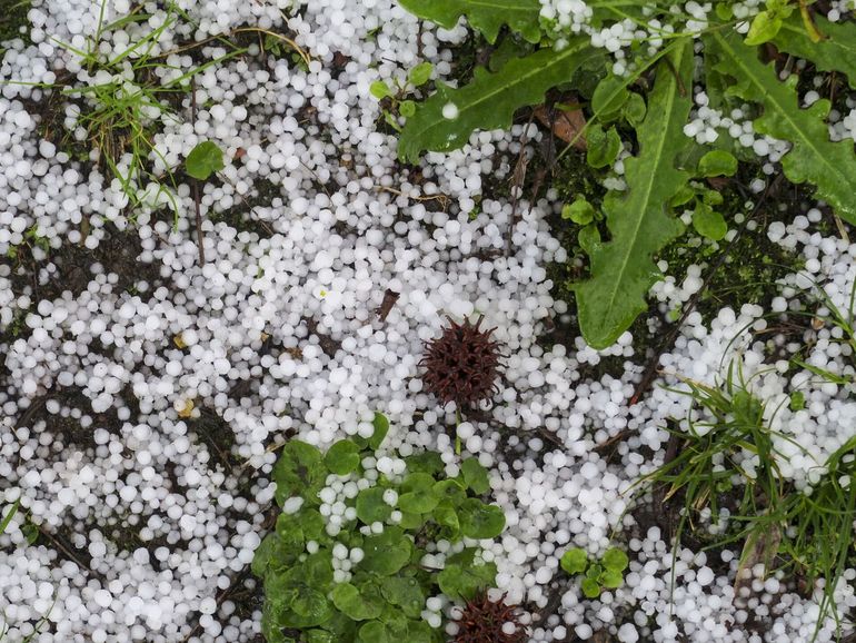 Qué Es El Graupel, El Fenómeno Que Parece Nieve Pero Que No Es, Según ...