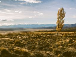 El 85% de las tierras fiscales de Argentina se concentra en la vasta región de la Patagonia. El 85% de las tierras fiscales de Argentina se concentra en la vasta región de la Patagonia.