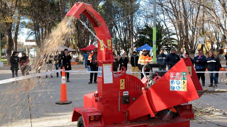 Centenario recicla sus alimentos, que vuelven a la tierra