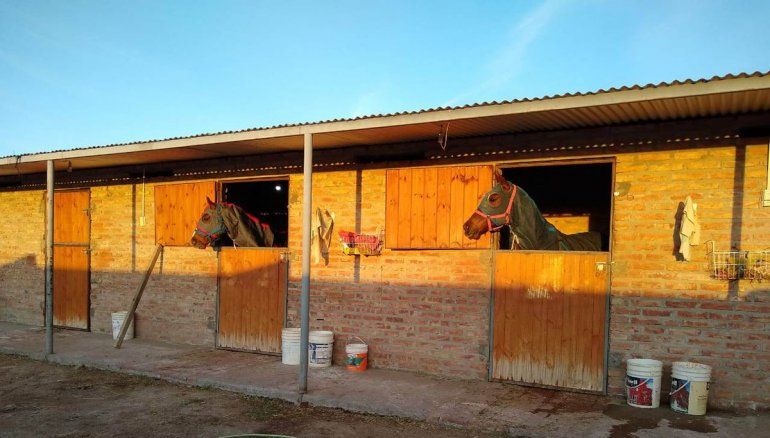 Pichuco (izq) y Positiva. En esos boxes del club hipico de General Conesa fueron muertos a cuchilladas.&nbsp;