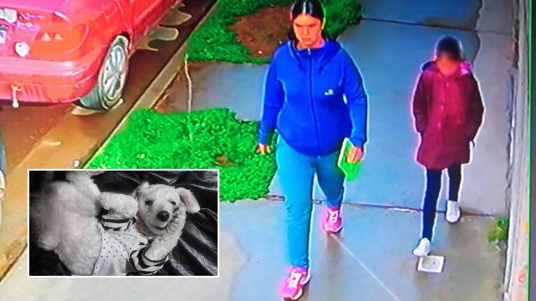 Una mujer robó una perrita de la puerta de una casa y quedó escrachada