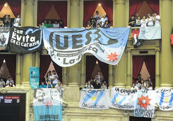 Banderas de agrupaciones juveniles cubrieron el recinto de Diputados