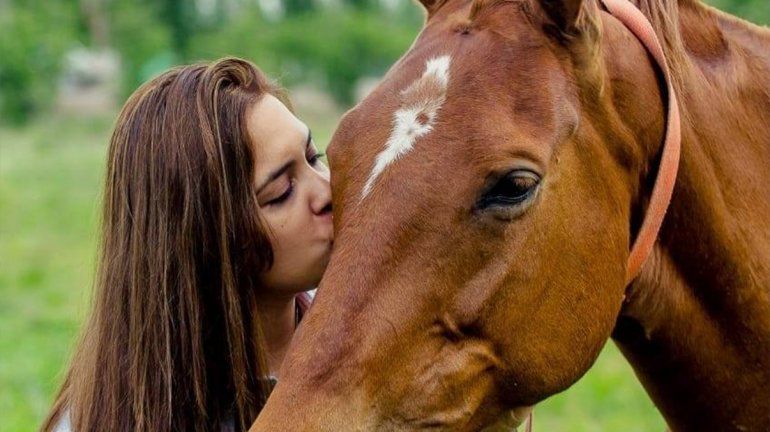 Ofrece una recompensa a quien le devuelva a su yegua Shekina