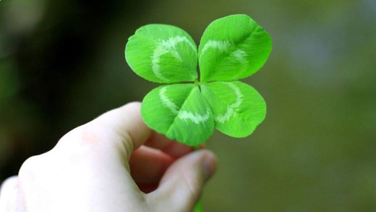 Horóscopo: el trébol de cuatro hojas, una especie de "amuleto" contra la mala suerte. Horóscopo: el trébol de cuatro hojas, una especie de "amuleto" contra la mala suerte.