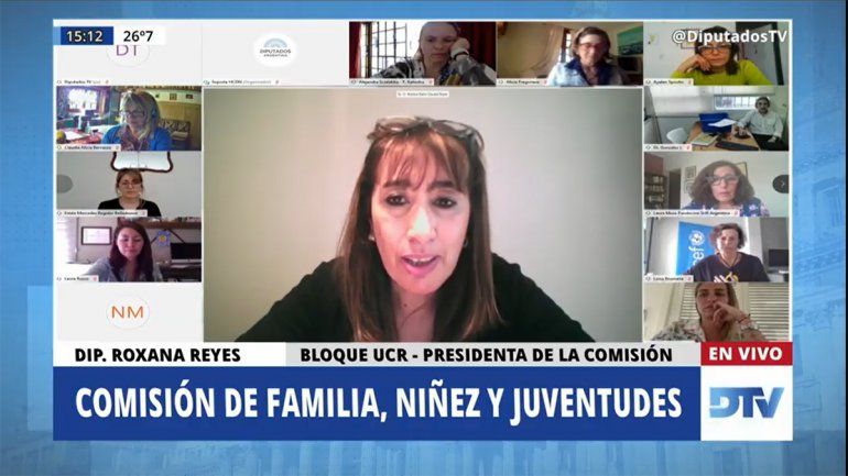 Diputados analizaron la situación de niños, niñas y adolescentes durante la pandemia