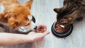 El aumento del gasto no se explica solo por la inflación. También responde a un cambio cultural. El aumento del gasto no se explica solo por la inflación. También responde a un cambio cultural.