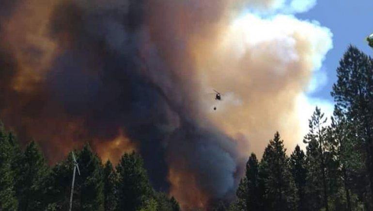 Aluminé: el incendio afecta a 400 hectáreas y sigue fuera de control