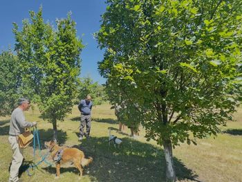 apostaron contra todo y hoy cultivan trufas en la patagonia apostaron contra todo y hoy cultivan trufas en la patagonia