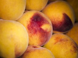 duraznos y damascos: dudas en la campana europea duraznos y damascos: dudas en la campana europea