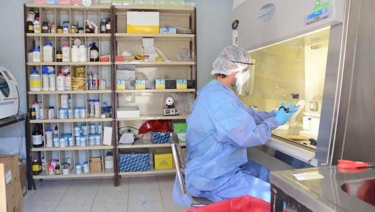 Neuquén acható la curva de contagios de COVID-19