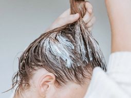 Se prohibió el uso, comercialización, publicidad, publicación en plataformas de venta online y distribución en todo el país. Se prohibió el uso, comercialización, publicidad, publicación en plataformas de venta online y distribución en todo el país.