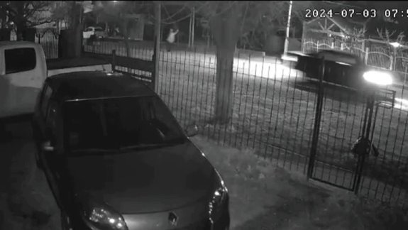 Los ladrones escaparon en dirección a calle Belisle. Actuaron con otro auto que ofició de campana.