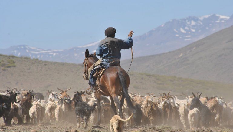 Buscan darle valor turístico al arreo