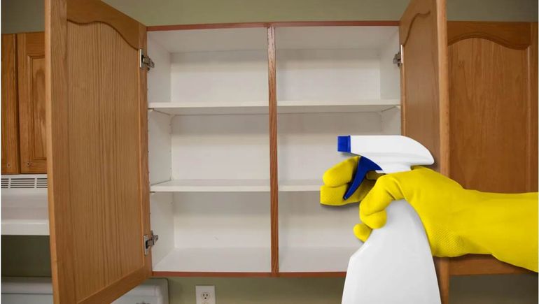 El vinagre ayuda a desinfectar superficies, neutralizar olores y prevenir la aparición de insectos y hongos. El vinagre ayuda a desinfectar superficies, neutralizar olores y prevenir la aparición de insectos y hongos.