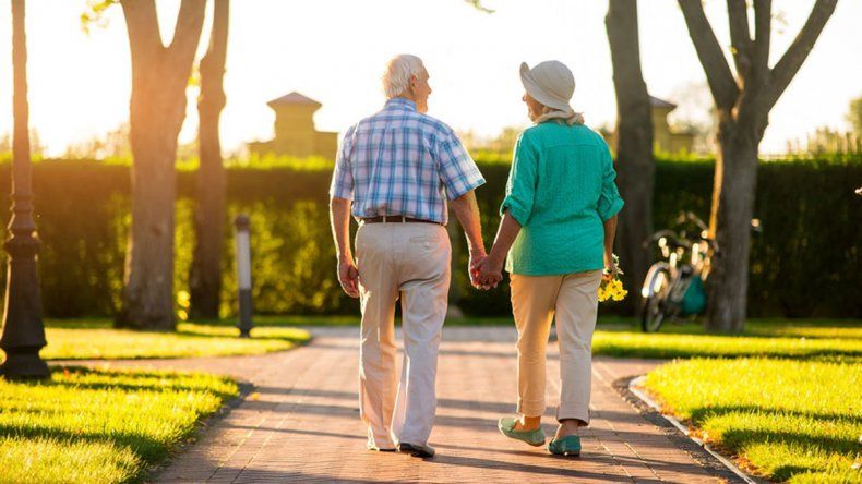 Harvard ya tiene la dieta ideal para vivir más años
