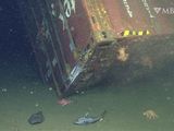 Aumento alarmante: 576 contenedores se pierden en el mar en medio de crisis global