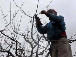 La nueva normativa modifica las leyes 26.844 y 26.727, extendiendo el período de prueba y actualizando el sistema de contratación y despido. La nueva normativa modifica las leyes 26.844 y 26.727, extendiendo el período de prueba y actualizando el sistema de contratación y despido.