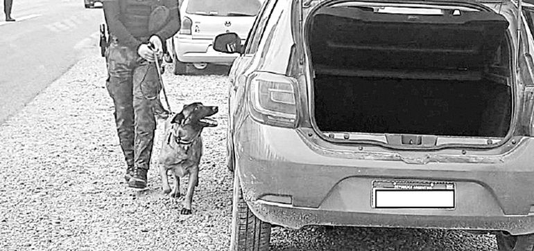 El perro Máximo es protagonista habitual de operativos positivos.