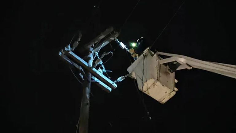 Loros causaron un corte de luz en Puerto Madryn.