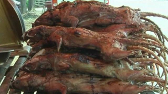 En China detienen a 900 personas por vender carne de rata