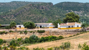 El refugio en España que te permite vivir gratis a cambio de mimar animales
